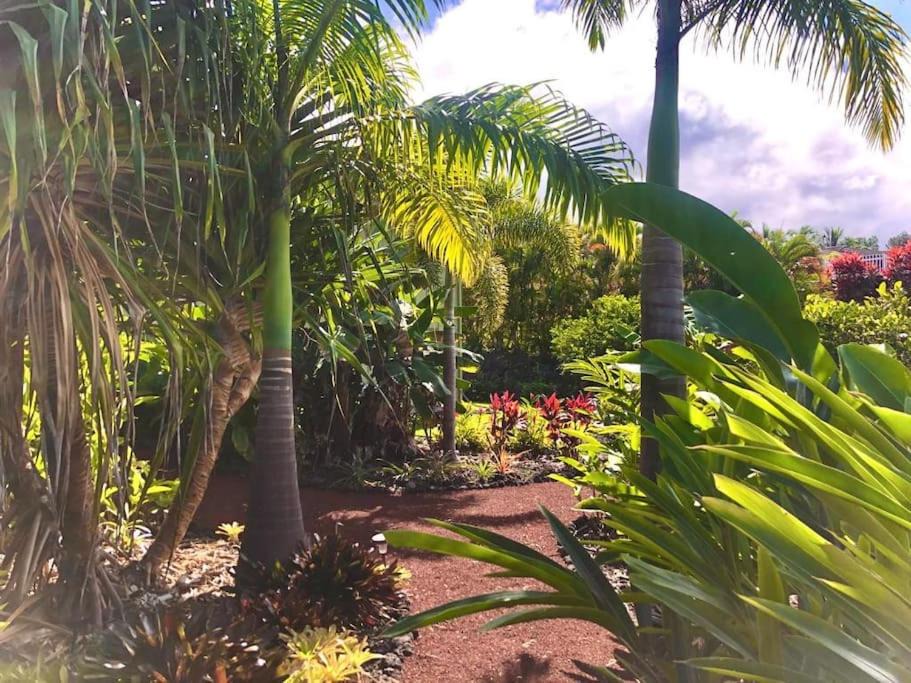 Photo of Others in Kailua-Kona