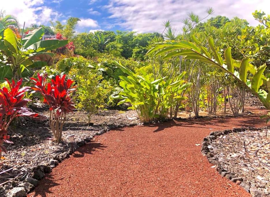 Photo of Others in Kailua-Kona