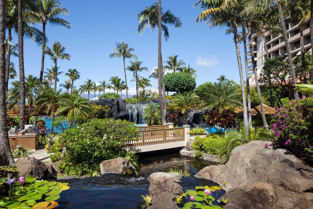 Photo of Others in Kaanapali
