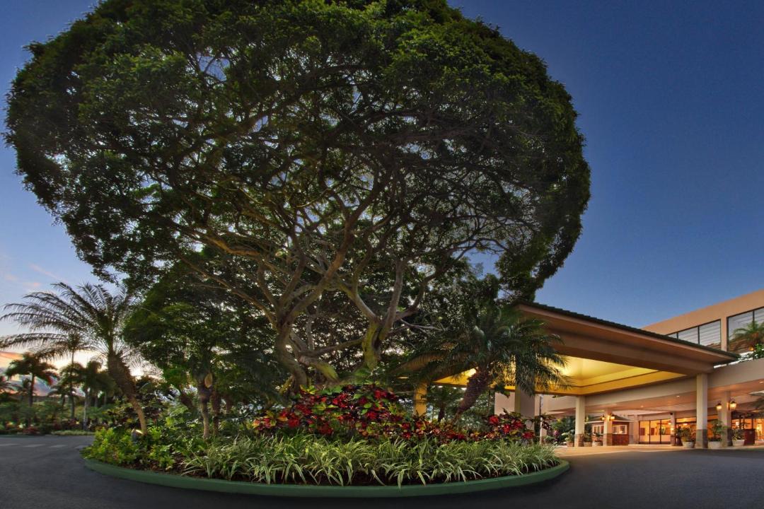 Photo of Others in Kaanapali
