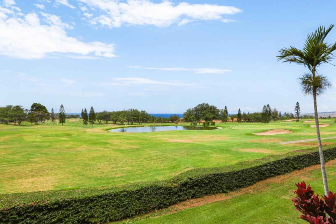 Photo of Others in Waikoloa