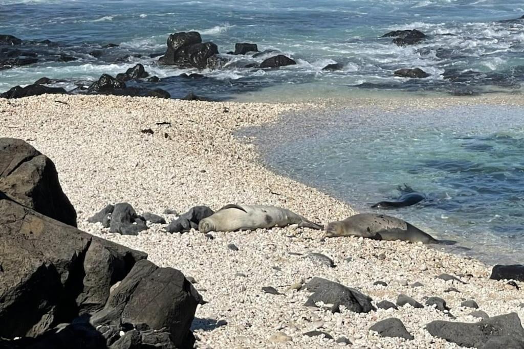 Photo of Others in Makaha Valley