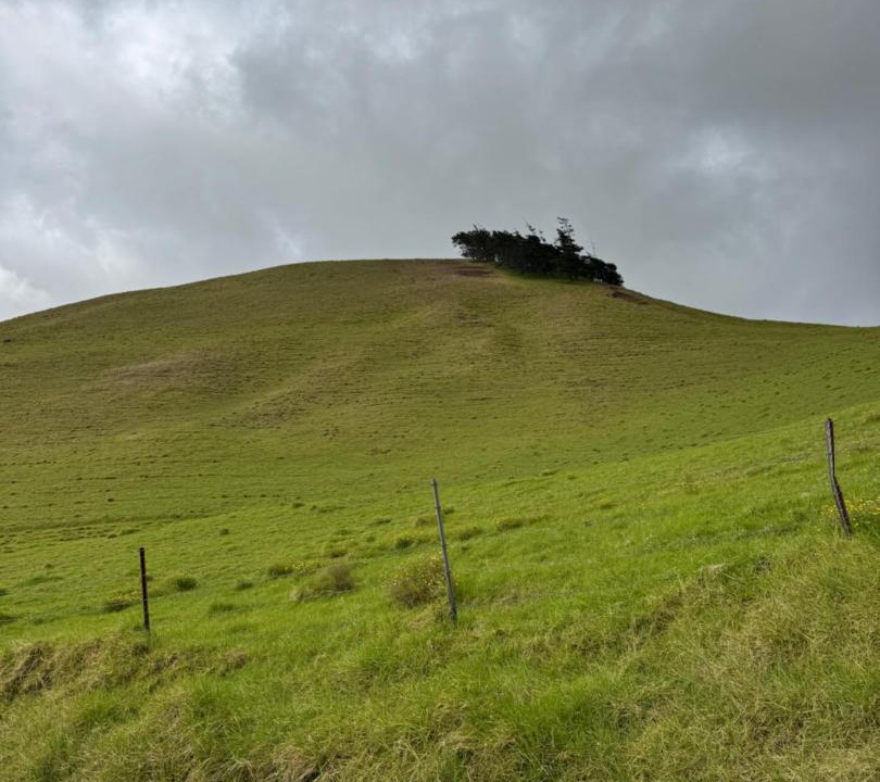 Photo of Others in Waimea