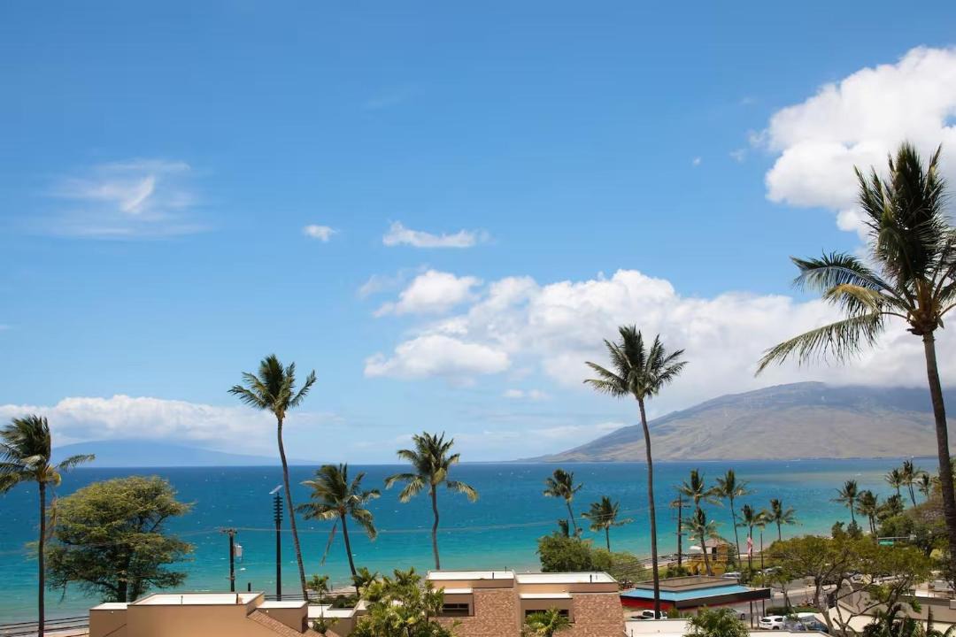 Photo of Others in Kihei