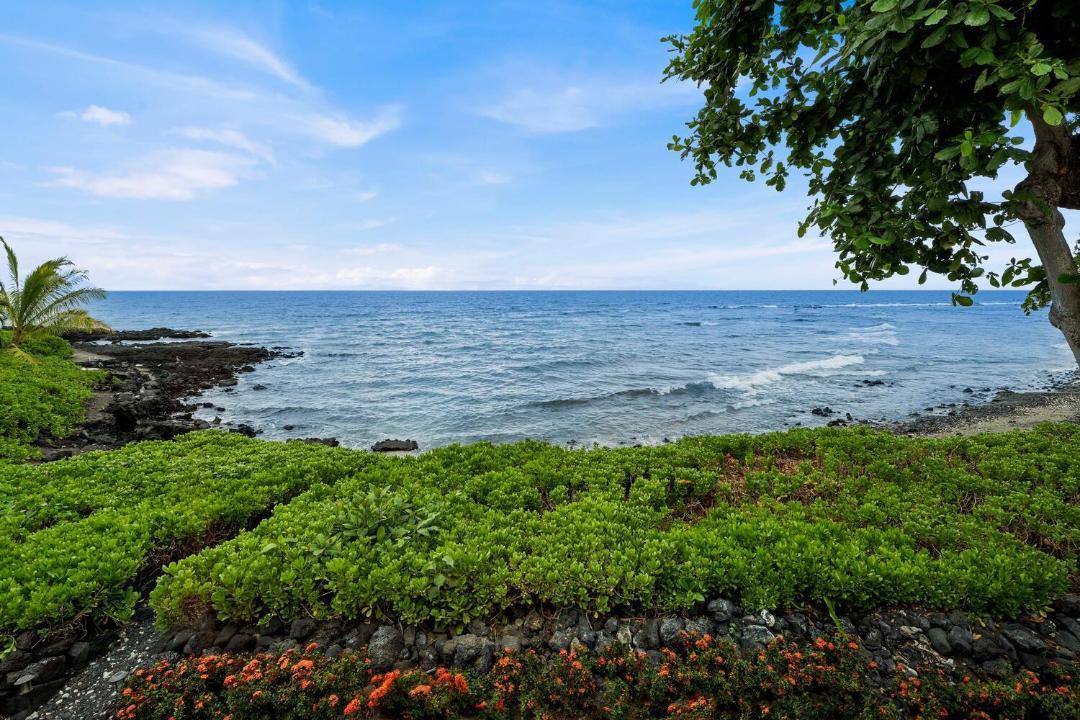 Photo of Others in Kahaluu-Keauhou
