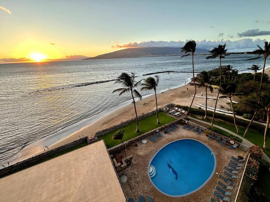 Photo of Others in Kihei