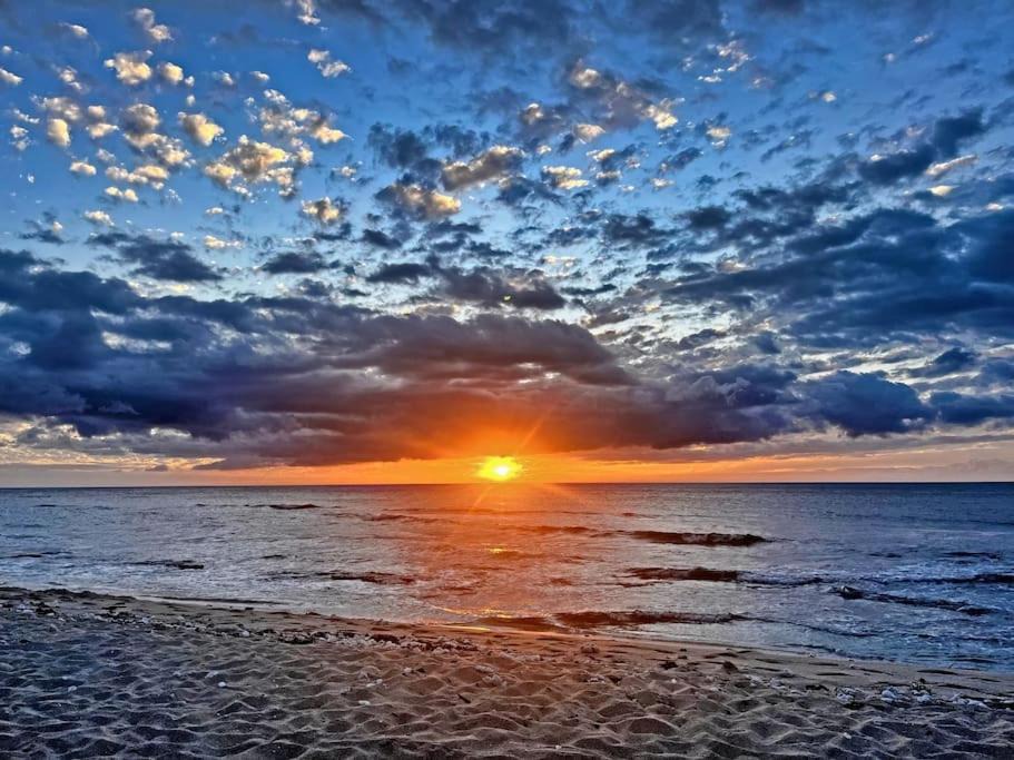Photo of Others in Holualoa