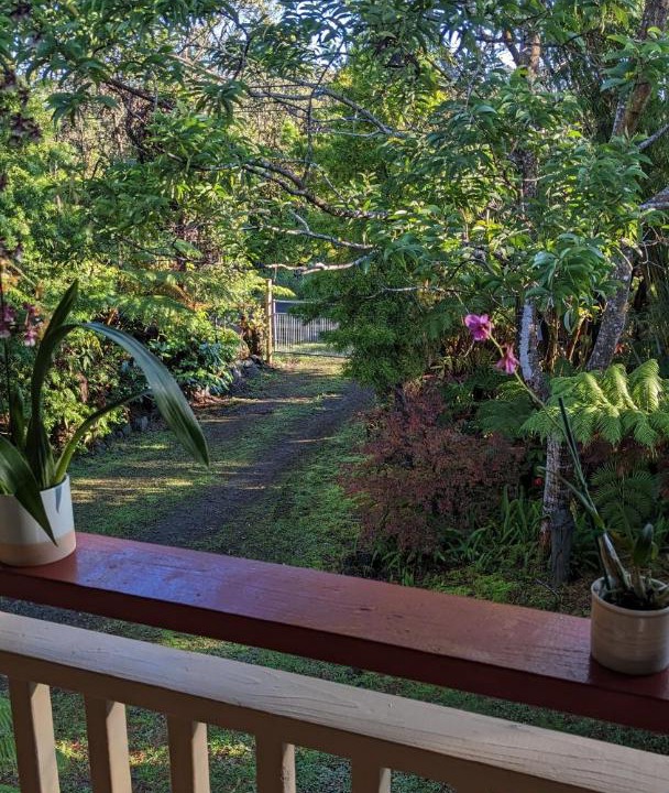 Photo of Others in Ohia Estates