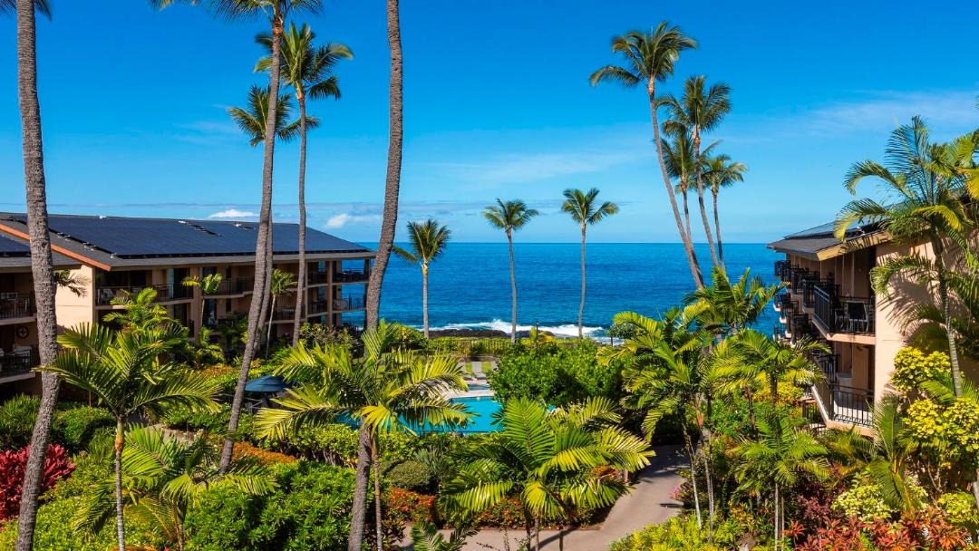 Photo of Others in Kailua-Kona
