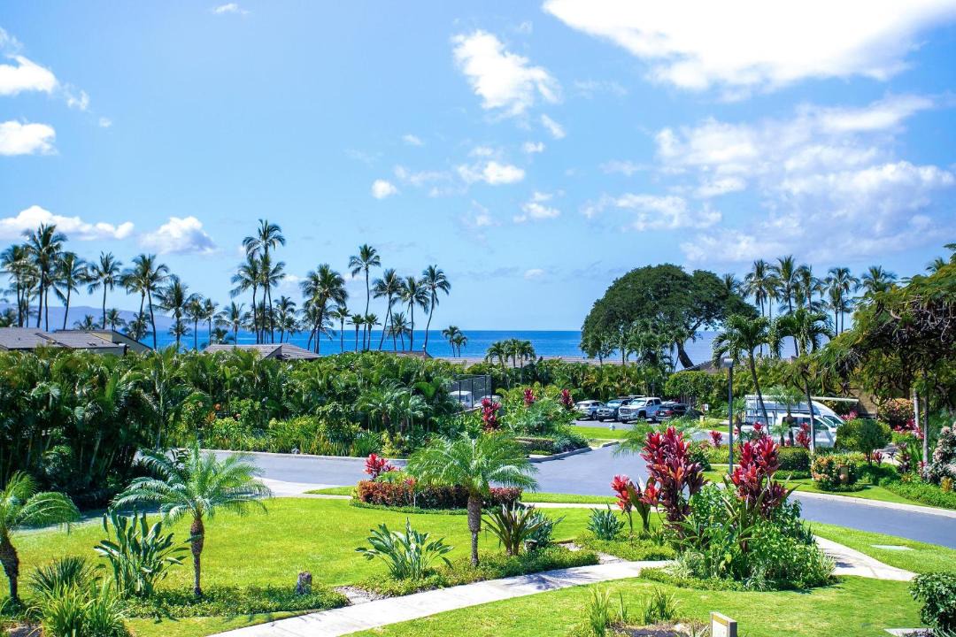 Photo of Others in Wailea