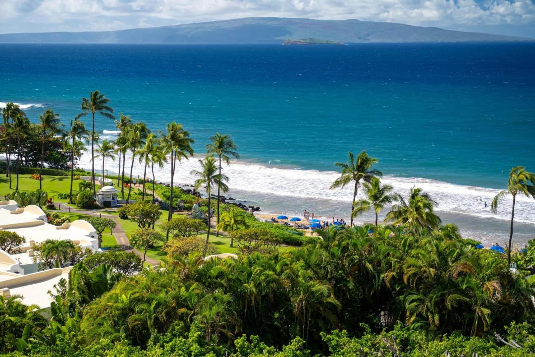 Photo of Others in Wailea