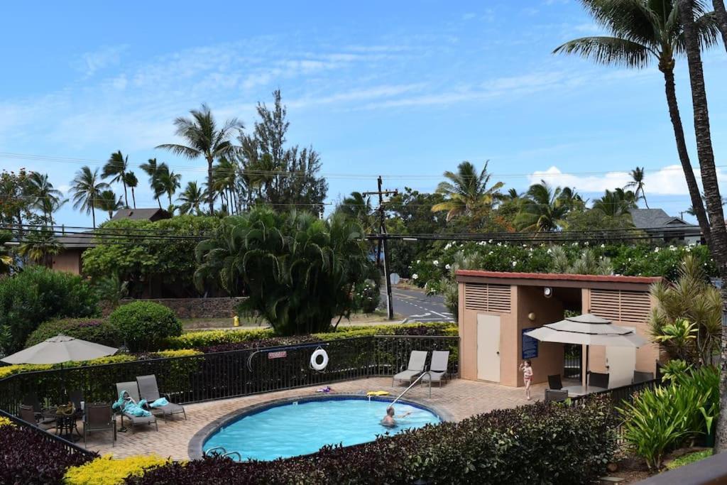 Photo of Outdoor in Kihei