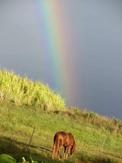 Photo of Outdoor in Kukuihaele