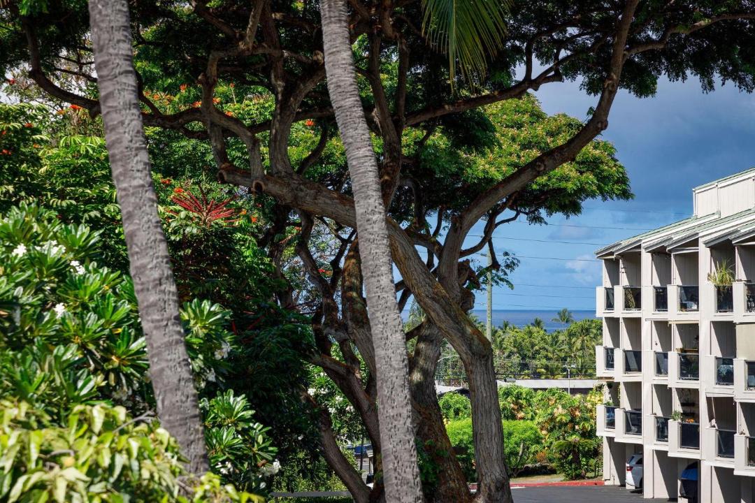 Photo of Others in Historic Kailua Village