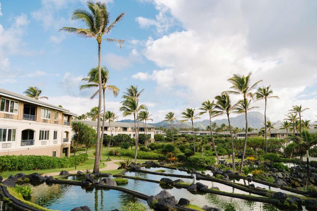 Photo of Others in Poipu