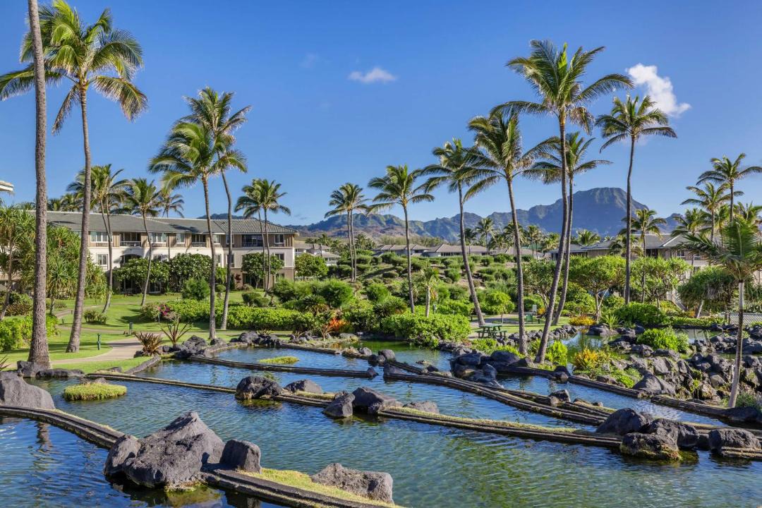 Photo of Others in Poipu
