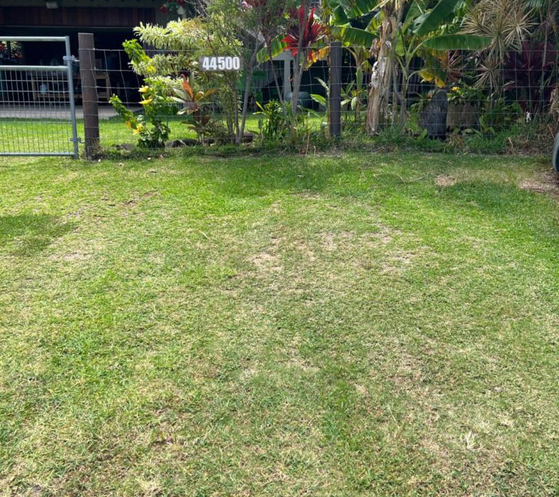 Photo of Others in Honokaa