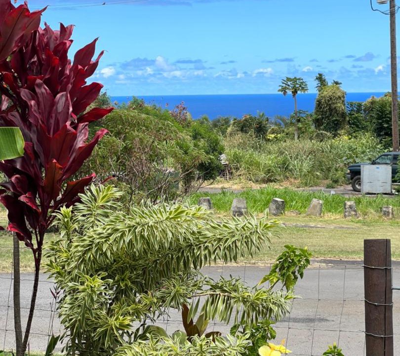 Photo of Others in Honokaa