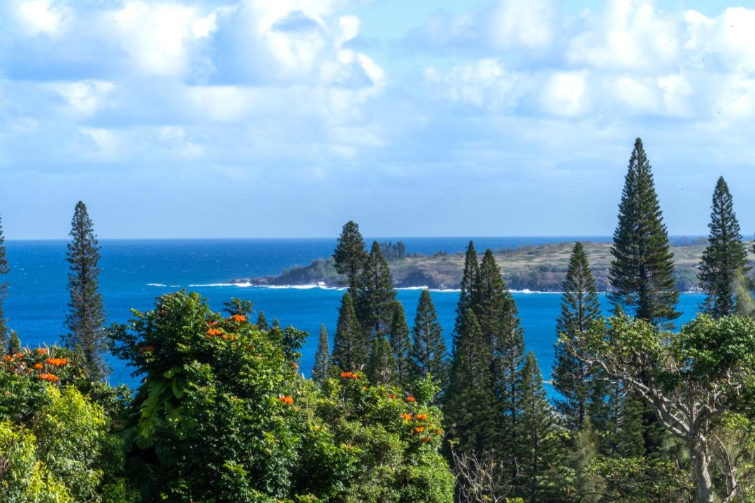 Photo of Others in Kapalua