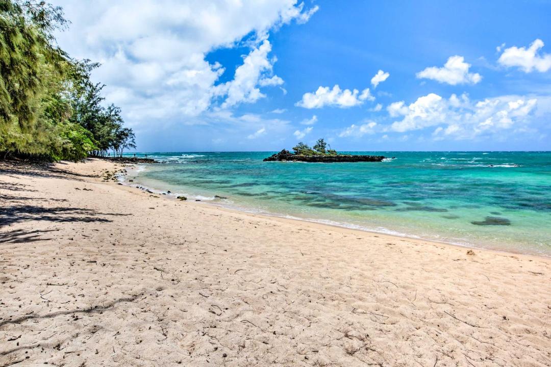 Photo of Others in Kahuku