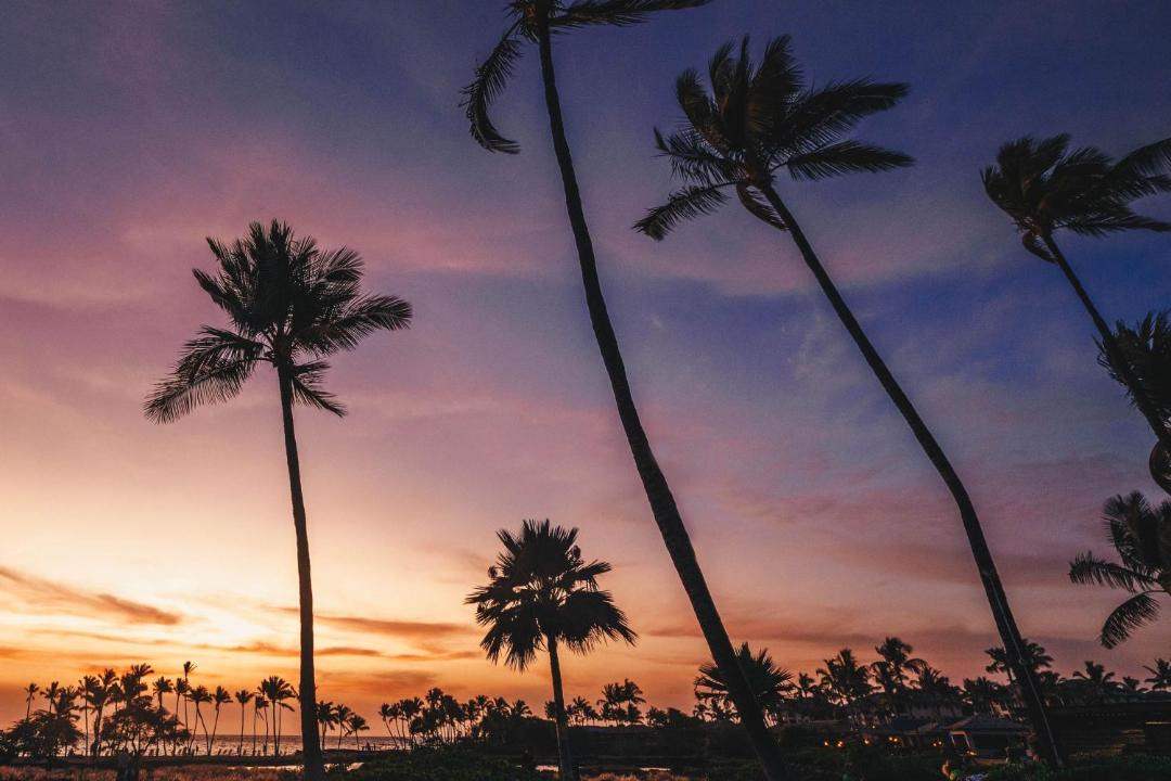 Photo of Others in Waikoloa