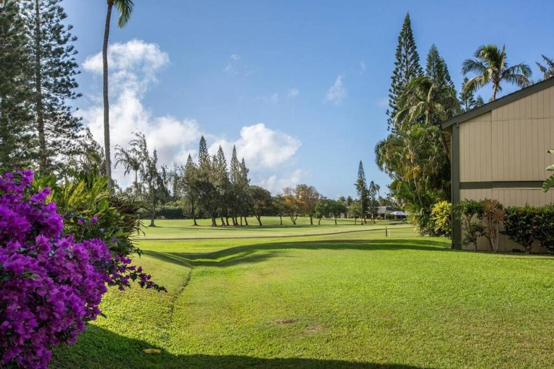 Photo of Others in Kahuku