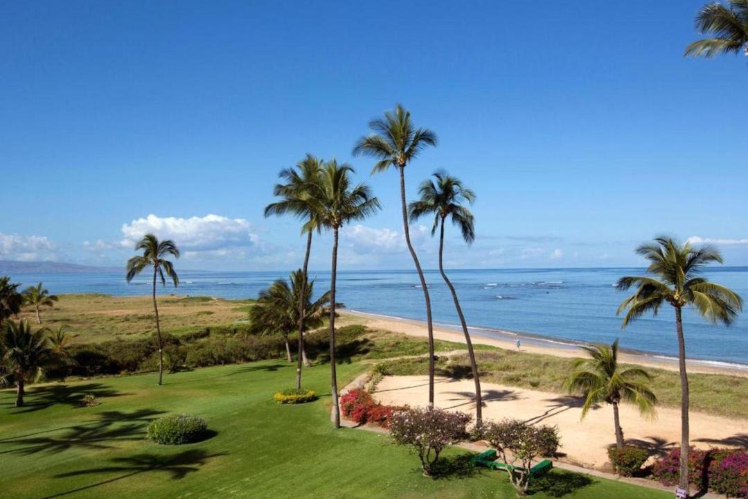 Photo of Outdoor in Kihei