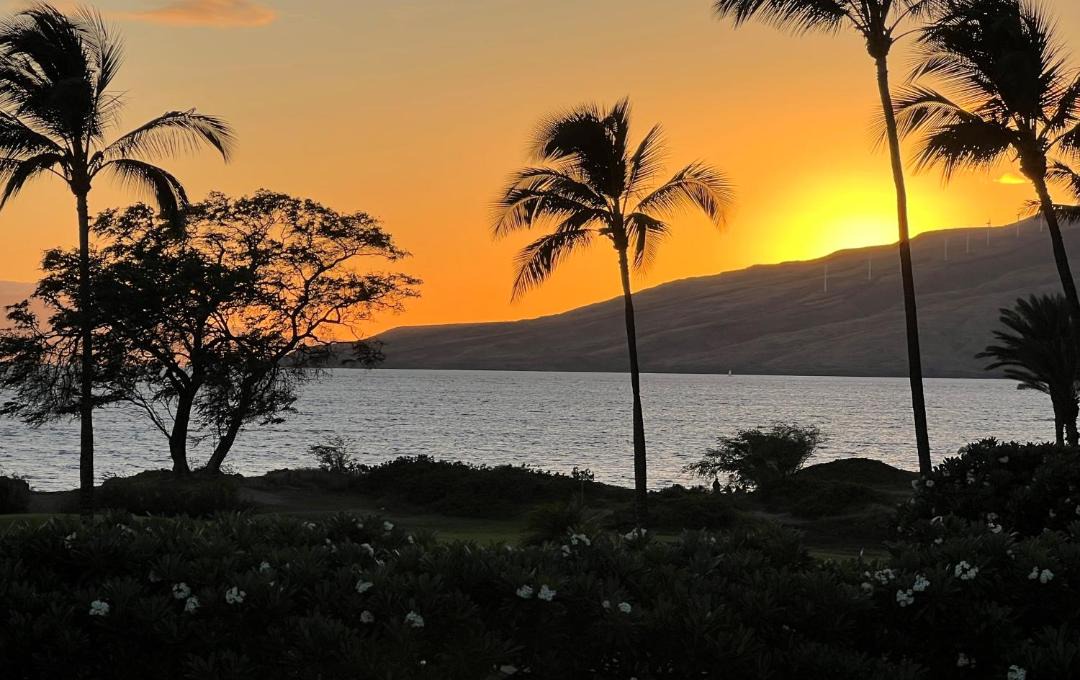 Photo of Others in Kihei