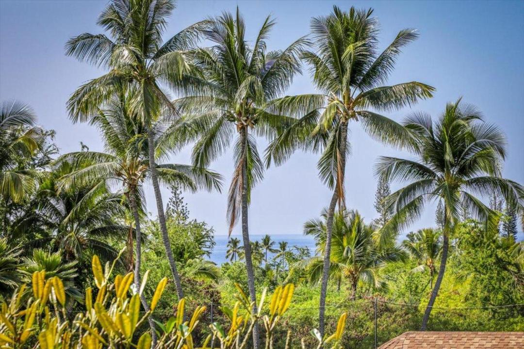 Photo of Others in Keauhou