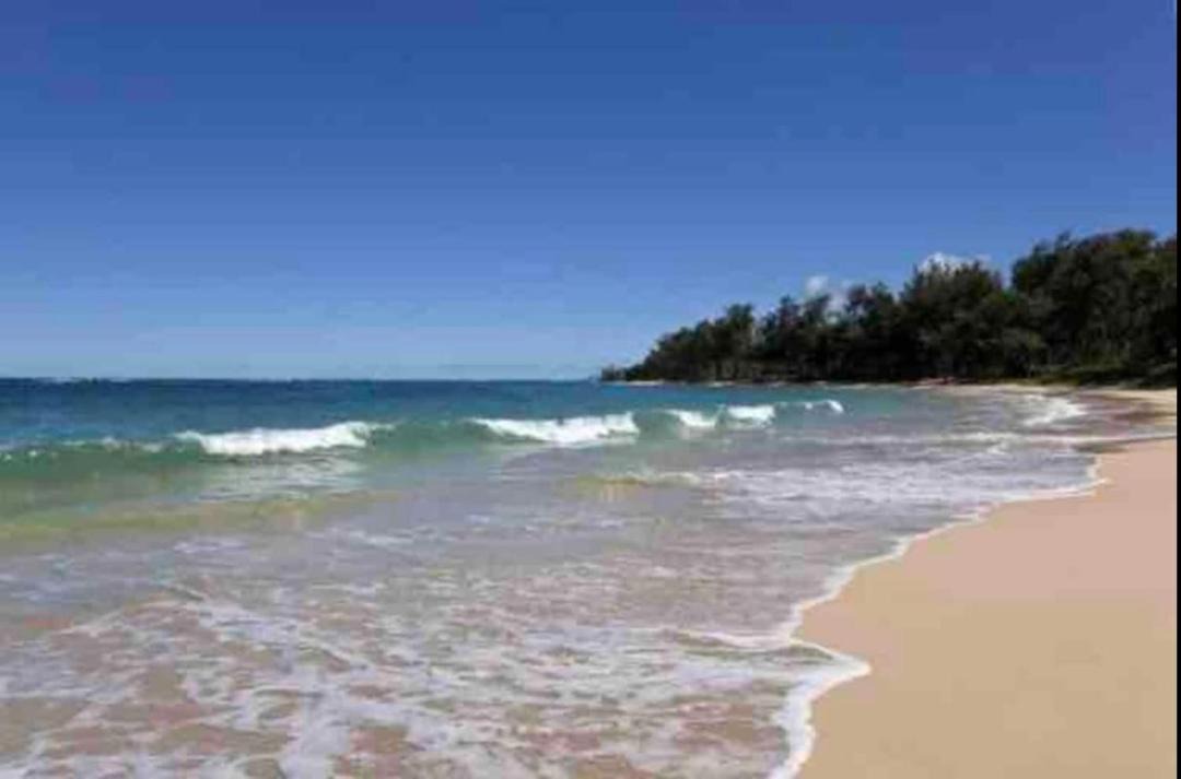 Photo of Outdoor in Laie