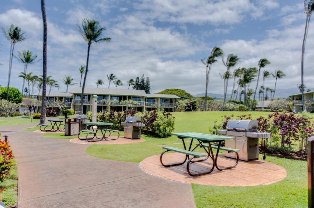 Photo of Others in Napili