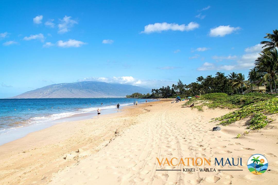 Photo of Others in Kihei