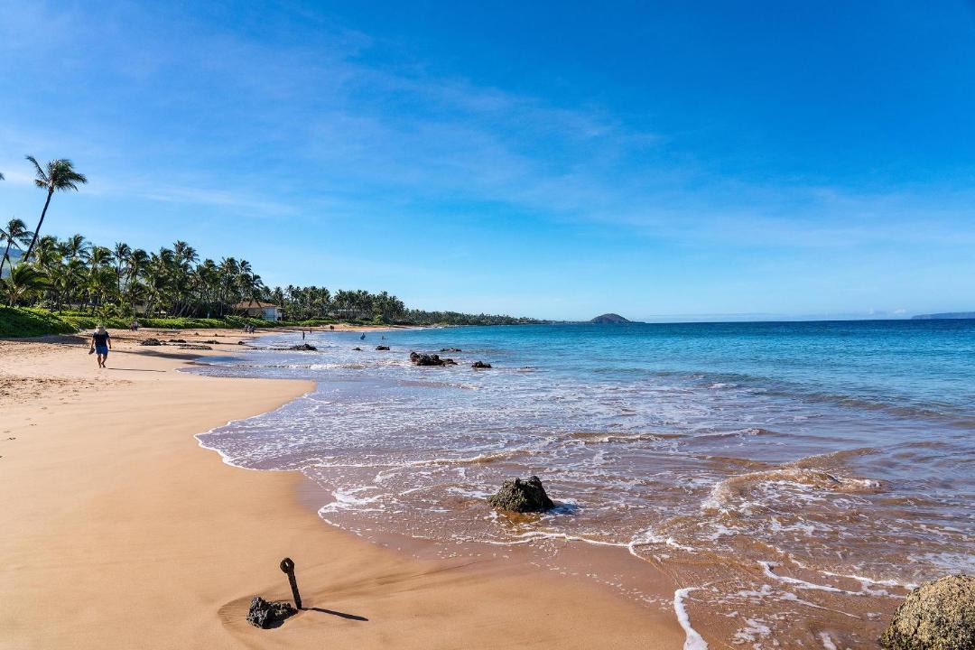 Photo of Others in Kihei