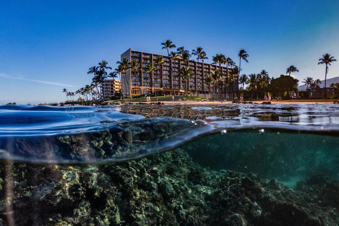 Photo of Others in Kihei