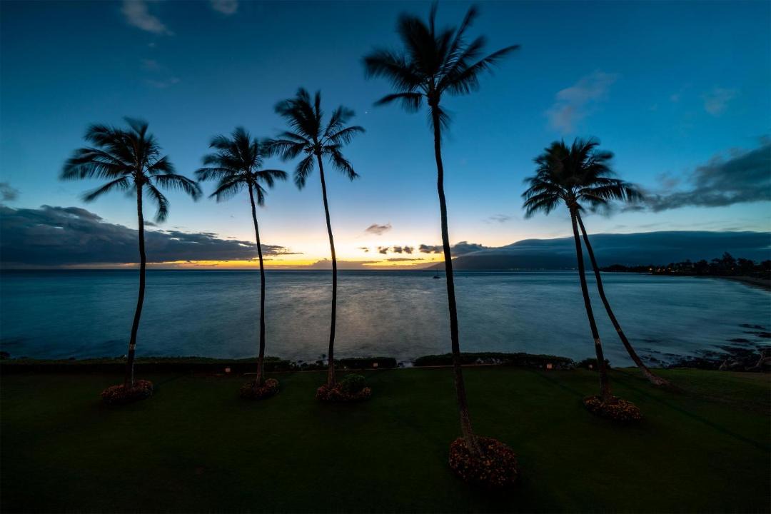 Photo of Others in Kihei