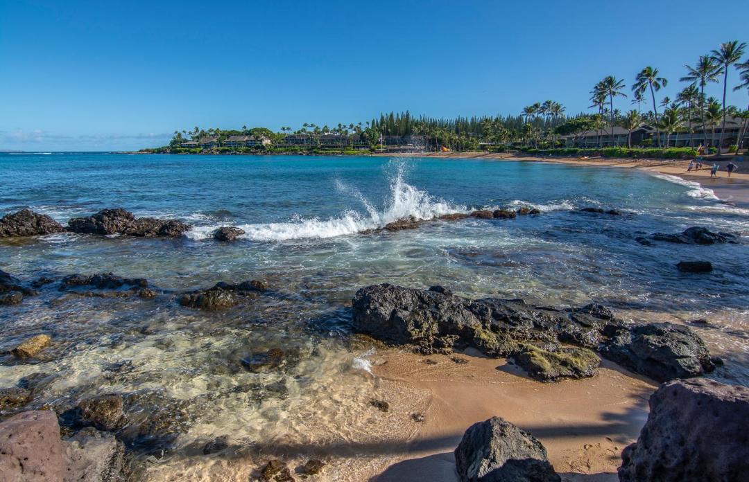 Photo of Others in Napili