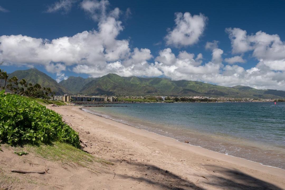Photo of Others in Kahului