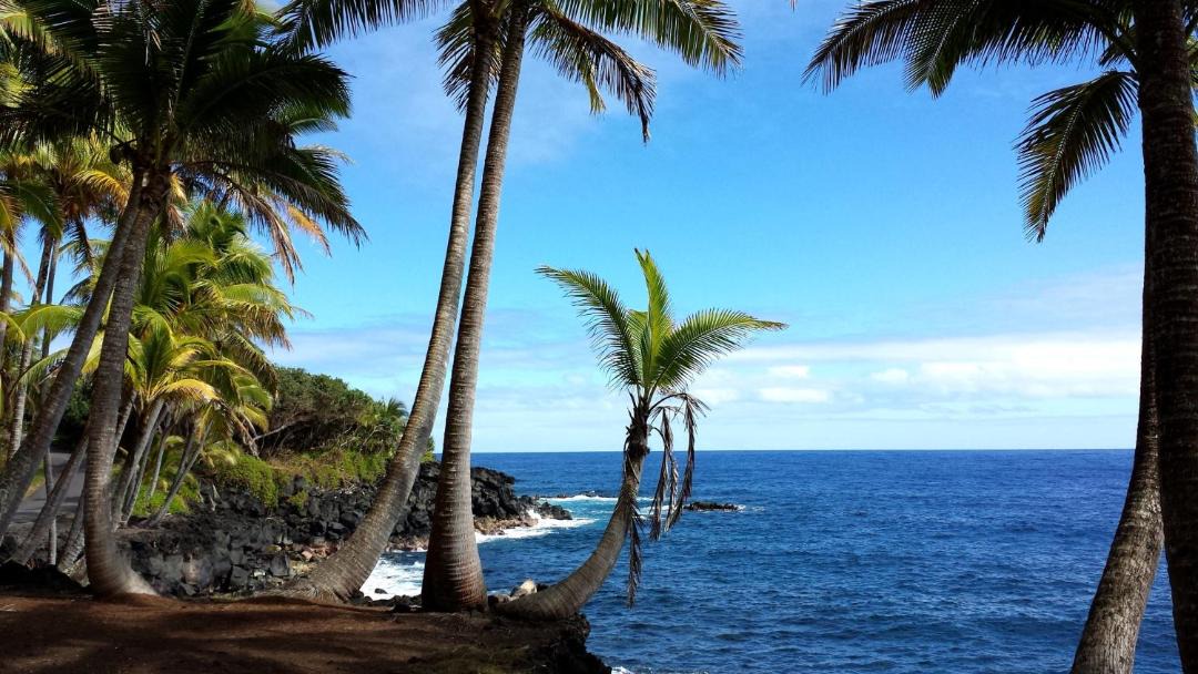 Photo of Others in Royal Hawaiian Estates