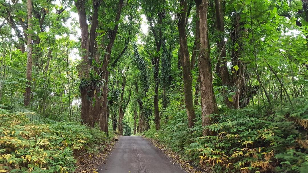 Photo of Others in Royal Hawaiian Estates