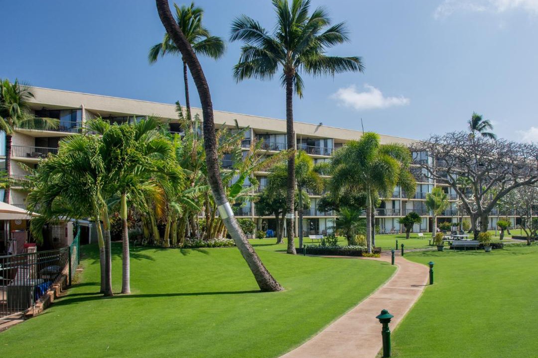Photo of Others in Kihei