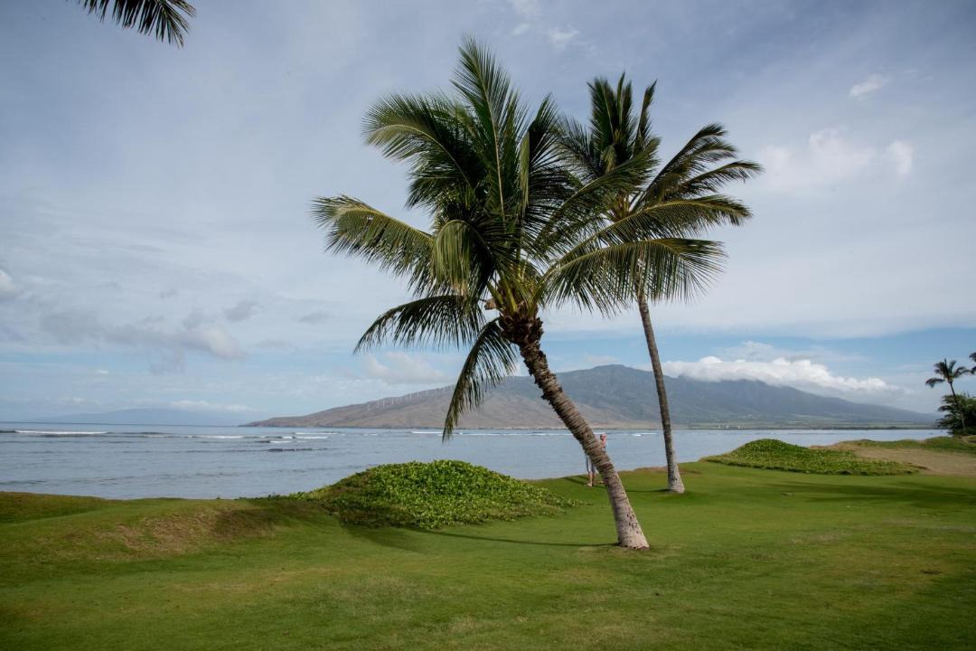 Photo of Outdoor in Kihei