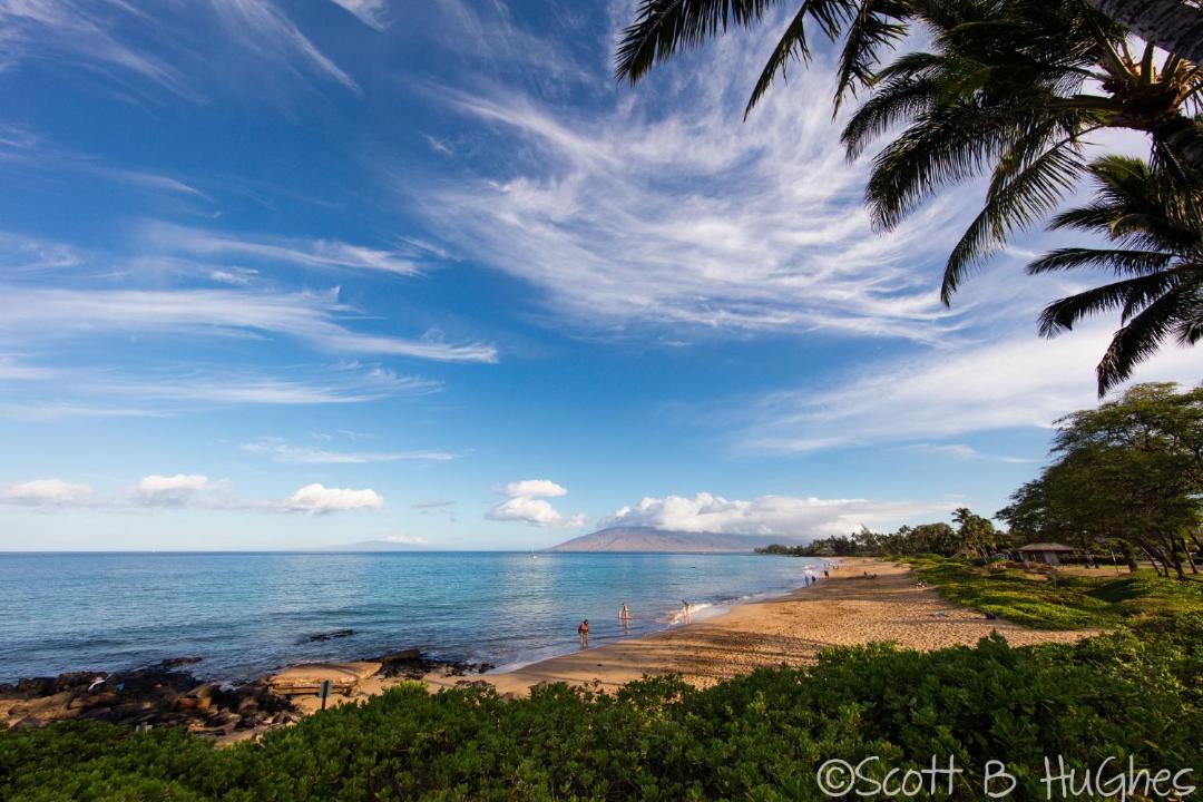 Photo of Others in Kihei