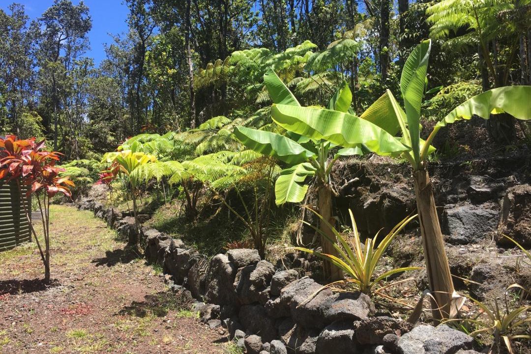 Photo of Others in Royal Hawaiian Estates