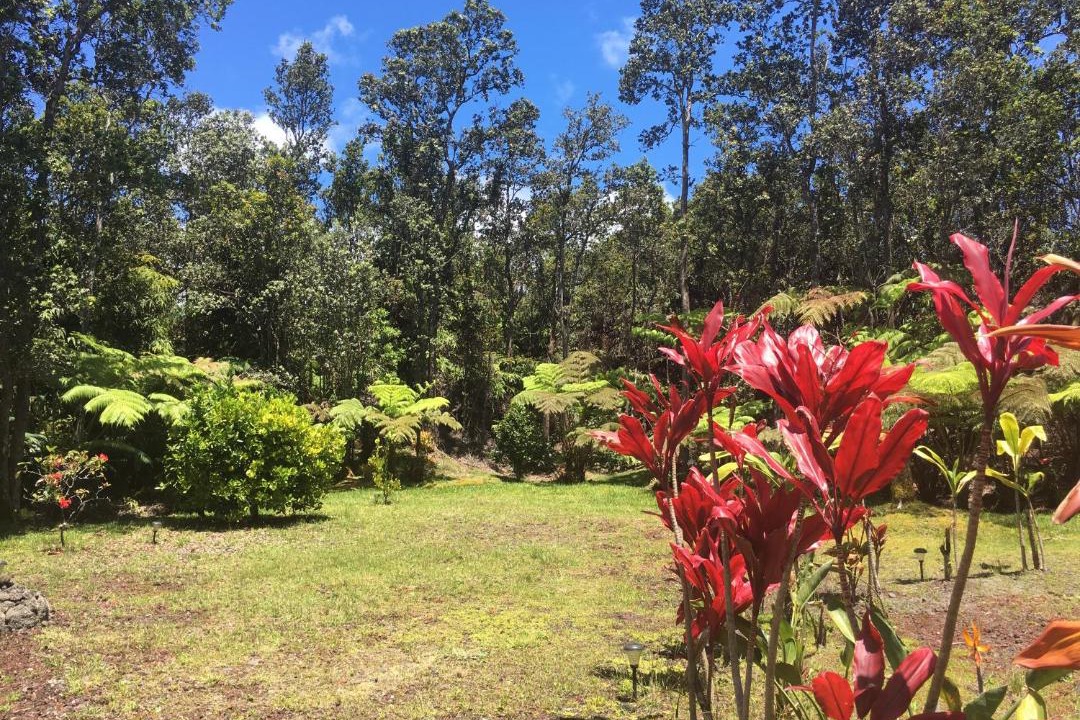 Photo of Others in Royal Hawaiian Estates