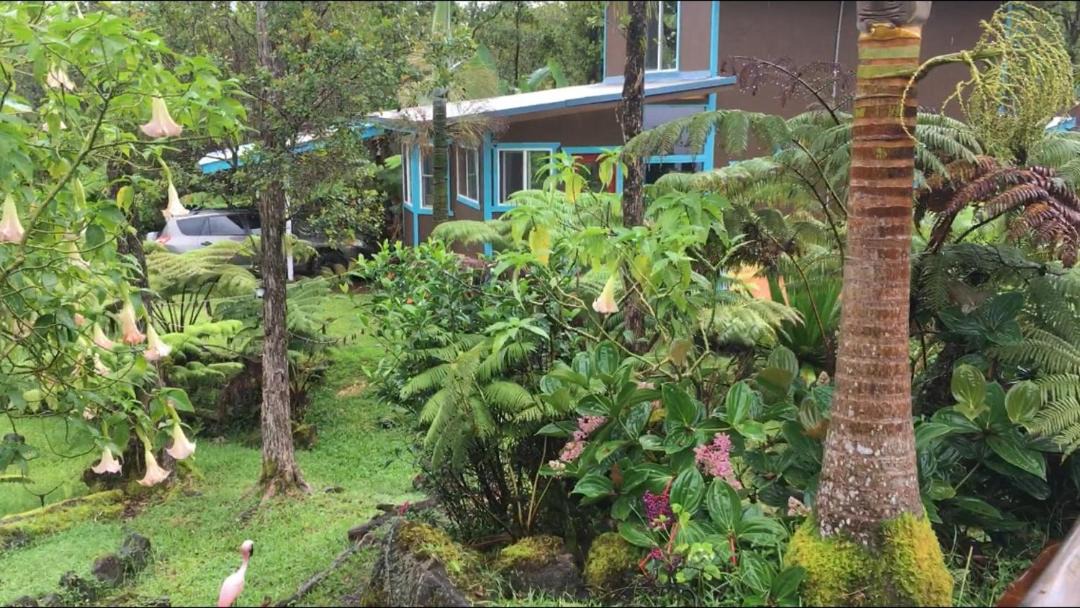 Photo of Others in Fern Forest