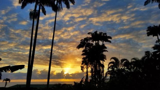 Photo of Others in Hilo