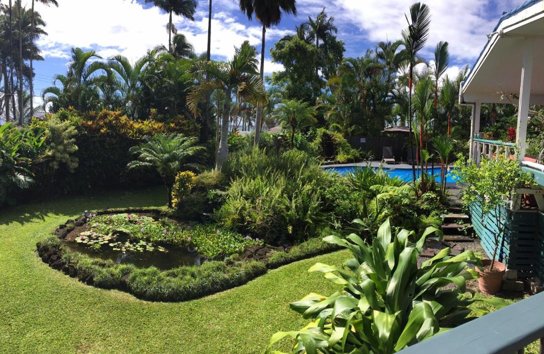 Photo of Others in Hilo