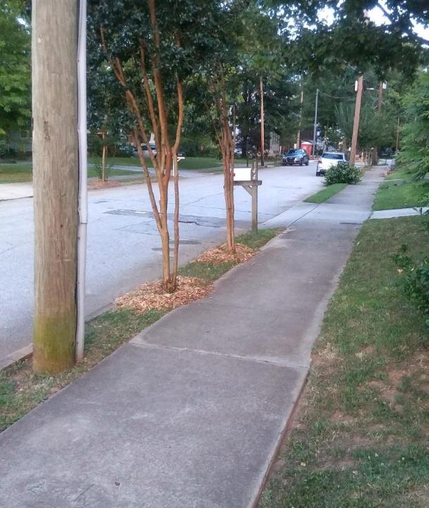 Photo of Others in Reynoldstown
