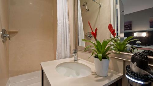 Queen Suite with Two Queen Beds and Sofa Bed - Balcony/Non-Smoking