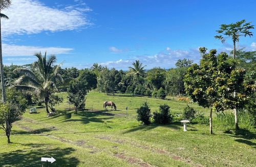 Waa Waa House | Hikina Shore Getaway. nA Coastal+Jungle Stay
